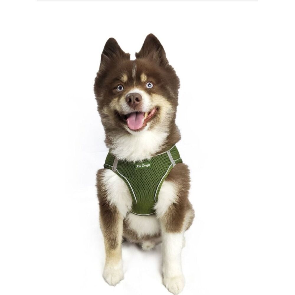 Pet Reflective Harness Vest - Green/Olive - SZ M fits 6 - 18" chest